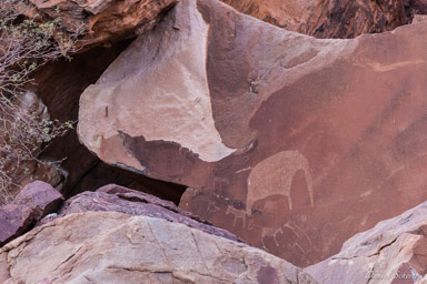 gravures rupestres de Twyfelfontein  