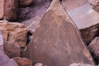 gravures rupestres de Twyfelfontein  