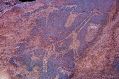 gravures rupestres de Twyfelfontein  