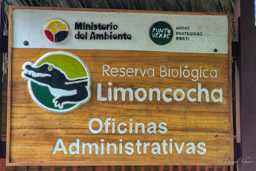 Limoncocha