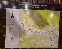 Tiputini