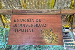 Tiputini