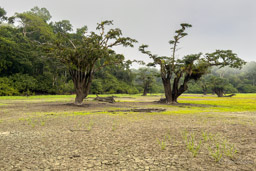 Laguna Grande