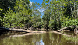 Rio Balatayacu