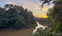 Rivière Tiputini