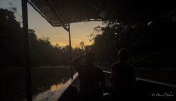 Rivière Tiputini