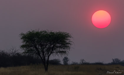 lever du soleil - sunrise  