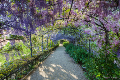 Giardino Bardini  