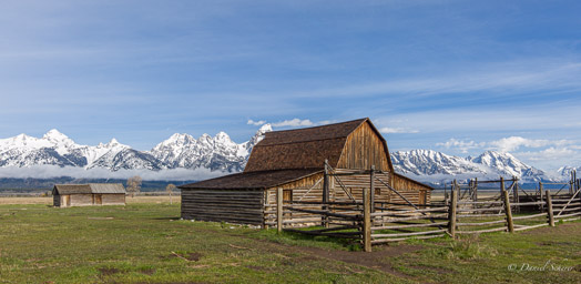 Mormon Row