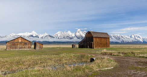 Mormon Row