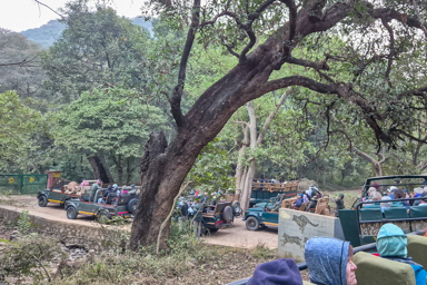 Parc national de Ranthambore