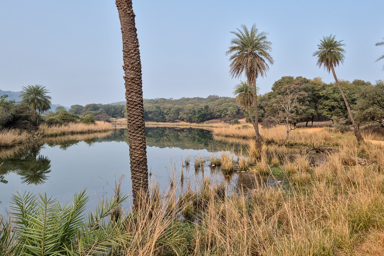 Parc national de Ranthambore