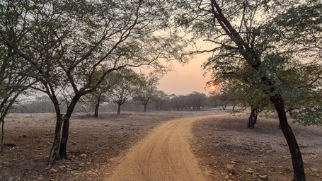 Parc national de Ranthambore