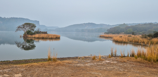 Parc national de Ranthambore