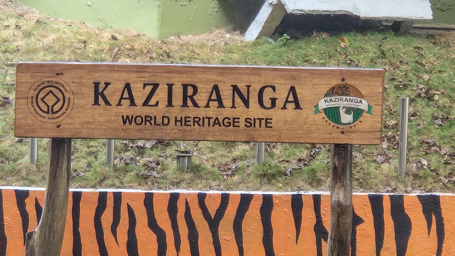 Kaziranga
