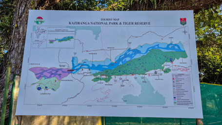 Kaziranga