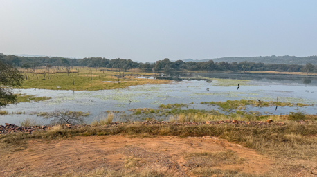 Parc national de Ranthambore