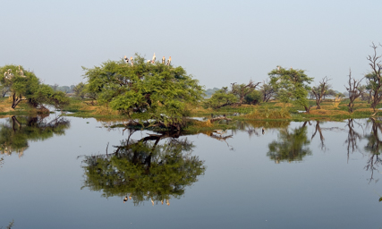 Keoladeo National Park