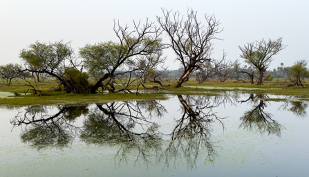 Keoladeo National Park