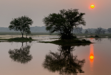 Keoladeo National Park