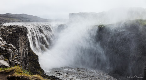 Víðirhóll