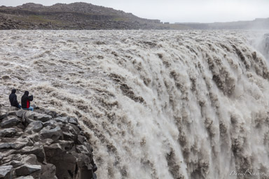 Víðirhóll