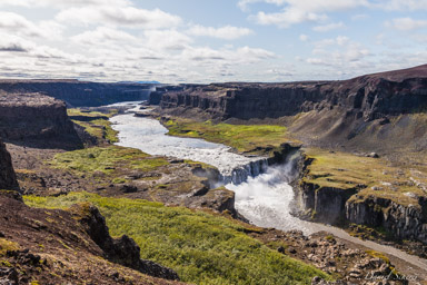 Víðirhóll