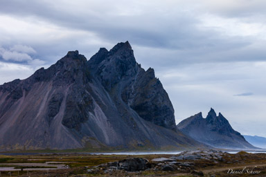 Höfn