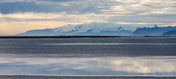 Höfn