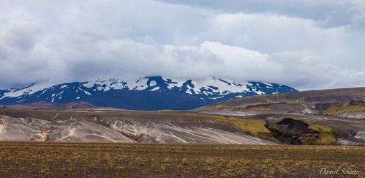 Skarð