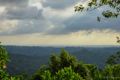 Corcovado  