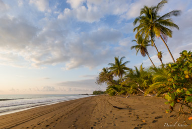 Playa San Josecito - coucher du soleil- Sunset  