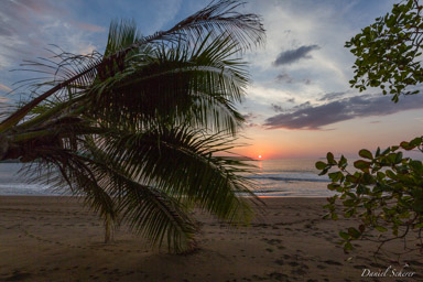 Playa San Josecito - coucher du soleil- Sunset  