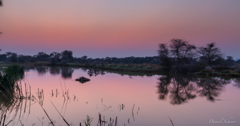 Mount Etjo Safari Lodge  