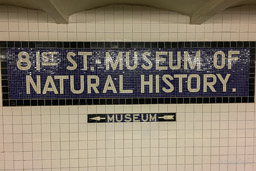 Museum of Natural History