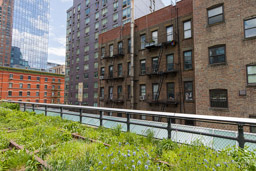 High Line