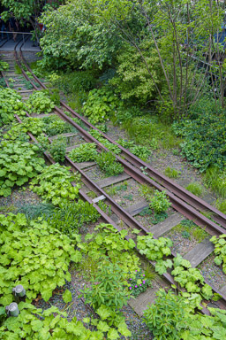 High Line