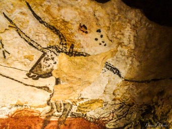 Lascaux II  