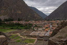 OLLANTAYTAMBO.    