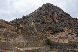 OLLANTAYTAMBO.    