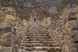 OLLANTAYTAMBO.    