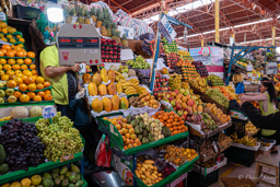 AREQUIPA.    
