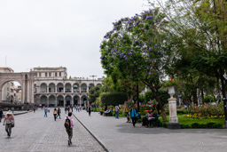 AREQUIPA.    