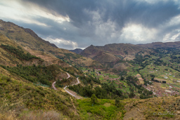 PISAC.    