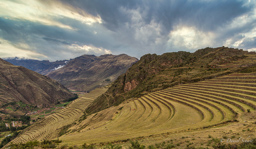 PISAC.    