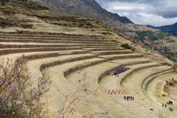 PISAC.    