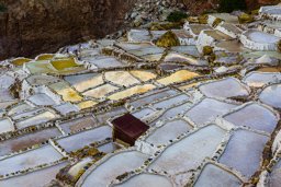 SALINES DE MARAS.    