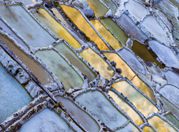 SALINES DE MARAS.    