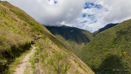 INKA TRAIL.    