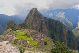 MACHU PICHU.    